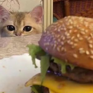 久久综合九色综合97婷婷
